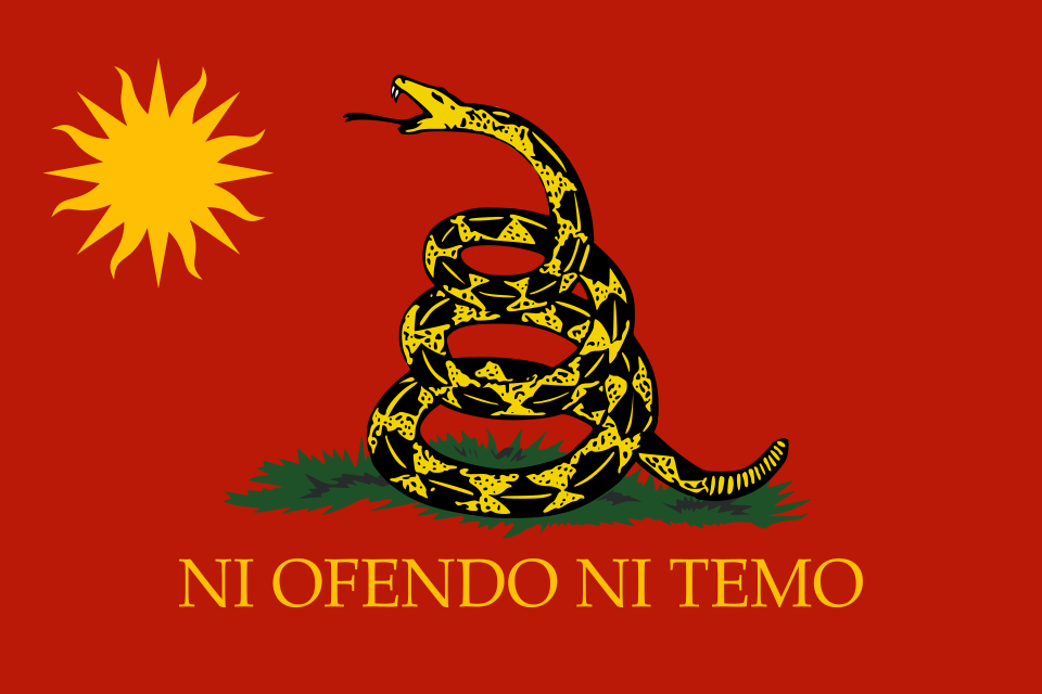 Bandera Agrupación Libertad